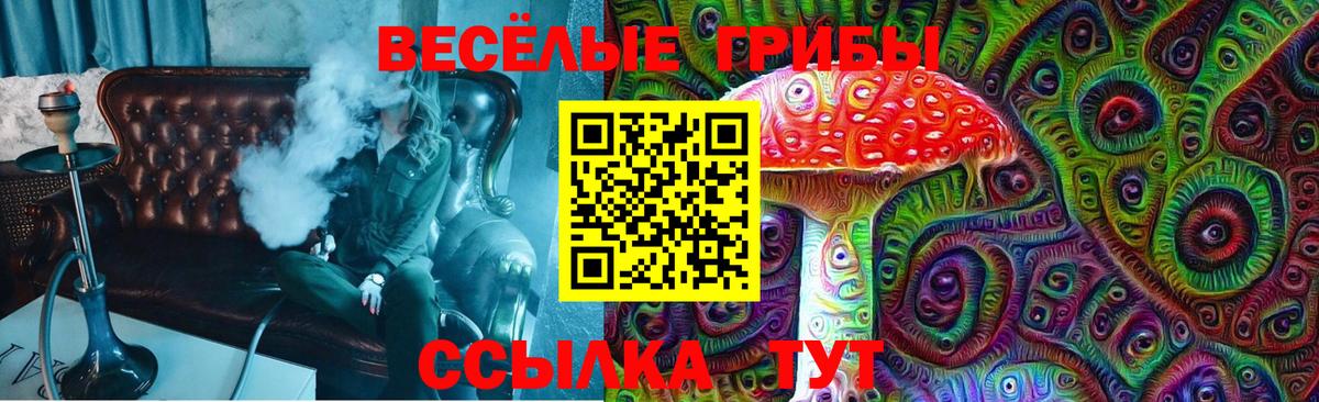 Магадан  купить наркотик  Вход с VPN  Галлюциногенные грибы мицелий 